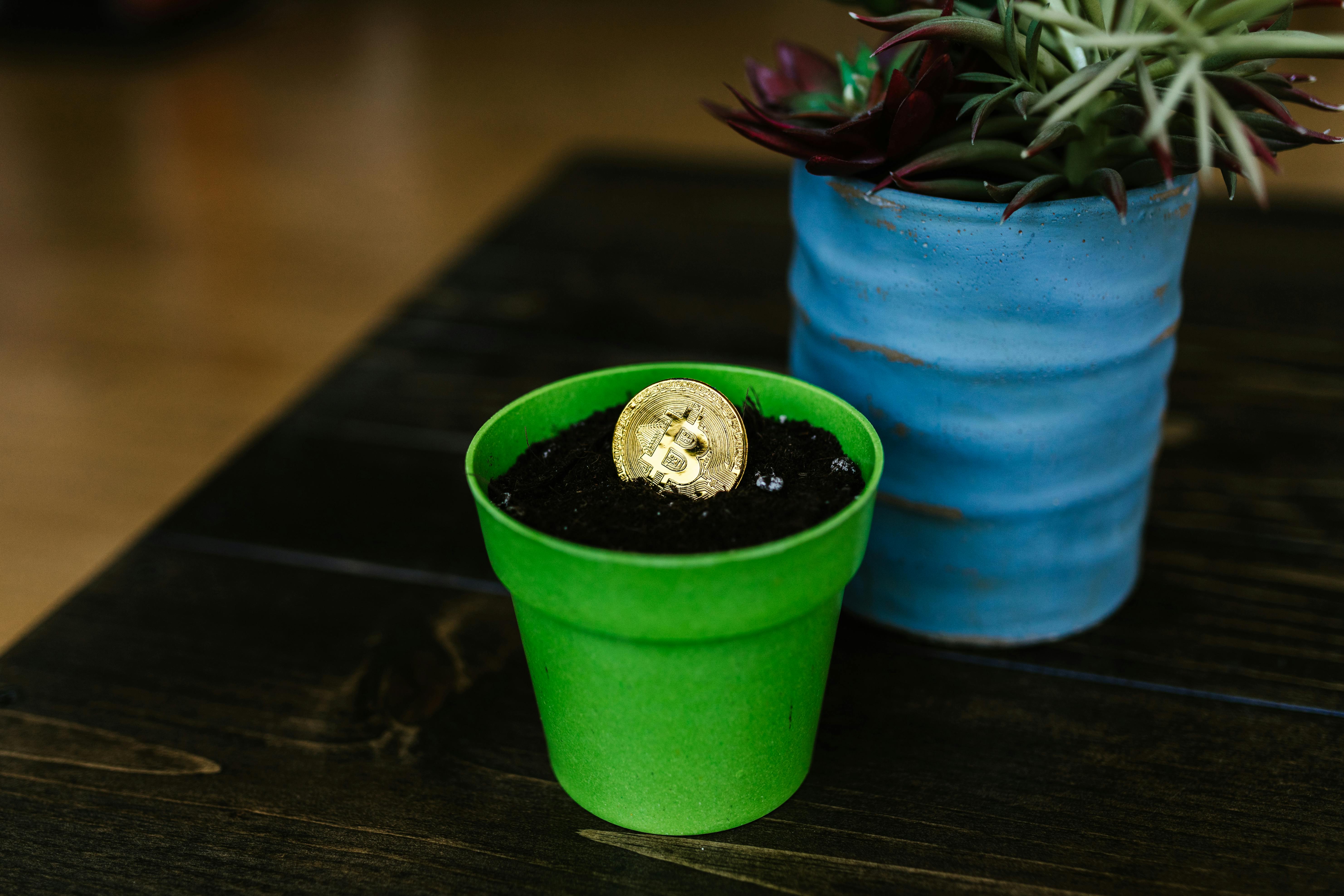 Representación visual de la primera función